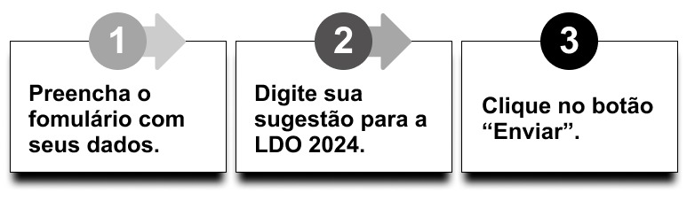 Imagem da Notícia Audiência Pública Online para debater a Lei de Diretrizes Orçamentárias 2024.
